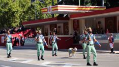 Titán, el nuevo borrego merino de la X Bandera, ha despertado la curiosidad del numeroso público que se ha congregado en La Castellana  // Manolo Guerrero