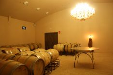 Bodegas Morosanto podría incluir la creación de un centro de interpretación del vino. // CharryTV