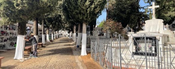 Refuerzan los trabajos de limpieza en el cementerio rondeño de San Lorenzo , El Ayuntamiento invierte 50.000 euros en el embellecimiento de este espacio con motivo del Día de Todos los Santos , 26 Oct 2022 - 16:43