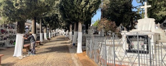 Se están realizando trabajos de limpieza y pintura en el camposanto de Ronda.  // Manolo Guerrero