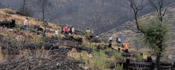 IKEA Málaga y el Ayuntamiento de Jubrique se han unido para reforestar una pequeña parte del entorno afectado por el incendio de Sierra Bermeja // José Antonio Gallardo