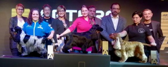 Una de las mejores peluqueras canina del mundo es rondeña, Alexandra Fris ha conseguido el oro en uno de los campeonatos internaciones más importantes de esta categoría profesional , 07 Dec 2022 - 16:22