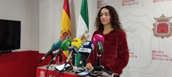 El PSOE pide explicaciones a la alcaldesa por sus últimas declaraciones sobre las fotovoltaicas, Los socialistas afirman que las alegaciones a estos proyectos por parte del Ayuntamiento han sido escasas, 17 Jan 2023 - 18:12