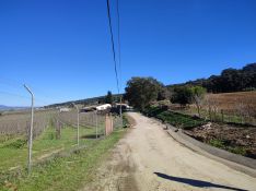 El colectivo defiende la mejora de los caminos, pero apuesta por una actuación que no convierta los carriles y senderos en nuevas carreteras enfocadas únicamente al tráfico rodado.  // CharryTV