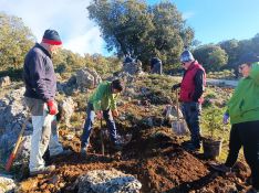 La asociación está realizando actividades de repoblación, como la que se celebró el pasado 15 de enero junto al camino de Parauta a Tolox.  // CharryTV