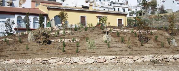 La zona verde ha sido dotada de plantas propias del clima mediterráneo. // CharryTV