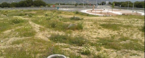 Vista de los terrenos en la actualidad, junto a la rotonda de acceso a Ronda en esta barriada.  // CharryTV