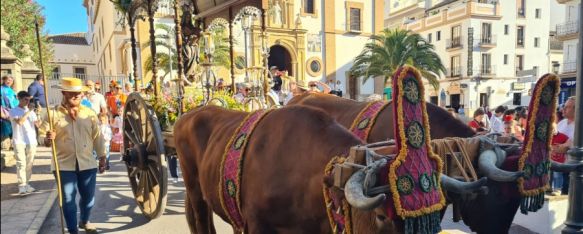 Ronda celebra su Romería en honor a la Virgen de la Cabeza, Decenas de rondeños y visitantes acompañan a la Reina de la Serranía que permanecerá durante el verano en la Ermita de San Antón, 07 May 2023 - 06:30