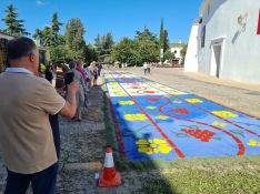 La alfombra que hicieron las hermandades el sábado en el entorno de la plaza de toros. // CharryTV