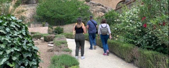 Entre las zonas incluidas en el pliego, se encuentran los jardines de los Baños Árabes // Ayuntamiento de Ronda