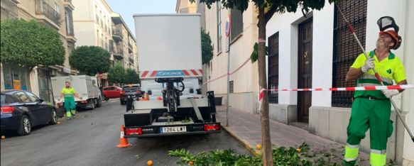 Un trabajador en plena faena en los días previos a la Feria.  // CharryTV