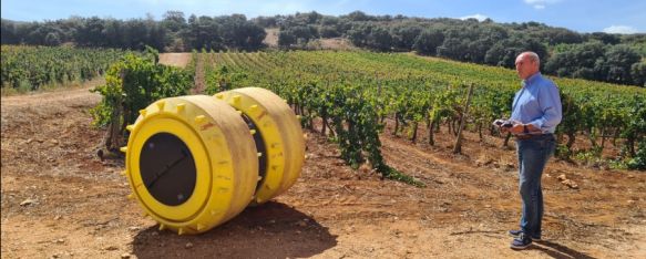 Esta tecnología permite detectar cuánta agua usar, dónde y cuándo, dentro del viñedo. // CharryTV