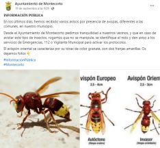 El Ayuntamiento de Montecortó alertó a sus vecinos de la presencia de esta especie.  // CharryTV