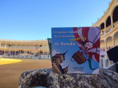 Los escolares han recibido un manual interactivo creado por la RMR para conocer mejor la institución y la importancia del caballo a lo largo de la Historia.  // Paloma González 