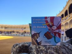 Los escolares han recibido un manual interactivo creado por la RMR para conocer mejor la institución y la importancia del caballo a lo largo de la Historia.  // Paloma González 