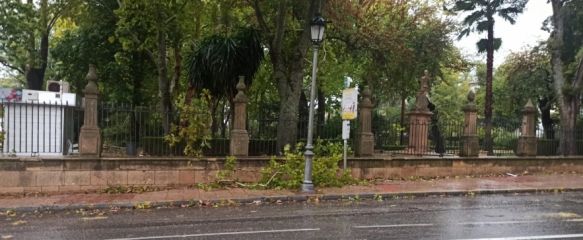 El fuerte viento provoca incidencias en Ronda, Los parques han permanecido cerrados durante toda la jornada debido al peligro de caída de ramas, 19 Oct 2023 - 16:56