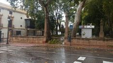 El la Alameda del Tajo se han producido varias caídas de ramas provocadas por el viento // Javier Valencia
