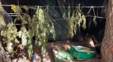 Se habían construido puntos de vigilancia y trampas para evitar que nadie accediera a la plantación de droga. // Guardia Civil