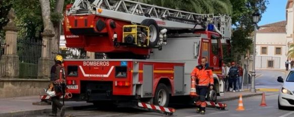 Otro aviso amarillo por fuertes vientos provoca el cierre de los parques y del cementerio, Hasta esta medianoche se esperan rachas de viento de hasta 80 kilómetros por hora, según la Agencia Estatal de Meteorología, 02 Nov 2023 - 13:08