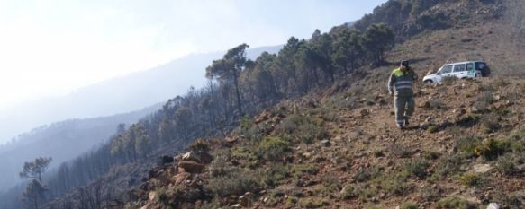 Continúa la polémica por el incendio forestal que arrasó 800 hectáreas en Sierra Bermeja y el Alto Valle del Genal. // CharryTV