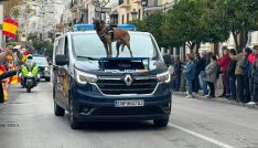 Las mascotas han sido también protagonistas de la celebración.  // CharryTV