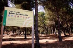 El Ayuntamiento de Ronda apuesta por la práctica deportiva en este espacio, donde se van a proyectar diferentes actuaciones para su conservación y puesta a punto.  // Turismo de Andalucía. 