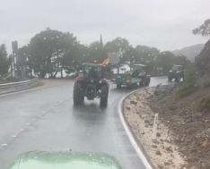 Esta mañana, los tractores han circulado por la A-397, en marcha lenta // CharryTV