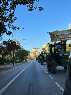 Las manifestaciones se han concentrado en la capital malagueña // Rafael Cordero