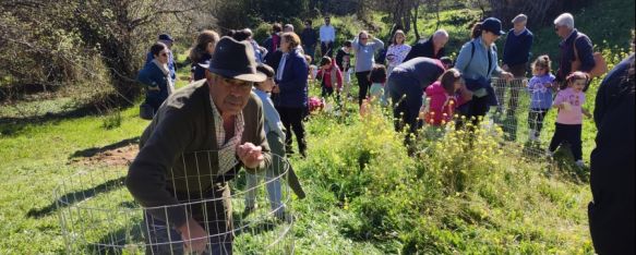 Abuelos y nietos plantan una treintena de pinsapos en el parque periurbano, Alrededor de 80 personas de todas las edades participaron en la actividad organizada por las delegaciones de Educación y Medio Ambiente, 01 Mar 2024 - 17:08