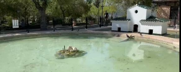 El estanque de la Alameda del Tajo se queda sin patos