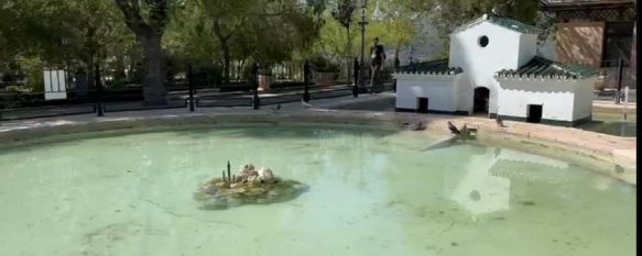 Los animales han sido atacados esta madrugada, según han informado desde la Delegación de Parques y Jardines.  // CharryTV