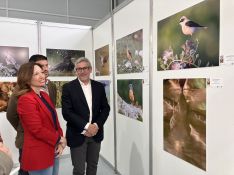 Se ha organizado una exposición con las 50 mejores imágenes de las más de 1.300 fotografías que se presentaron a un concurso organizado en el marco del festival.  // CharryTV