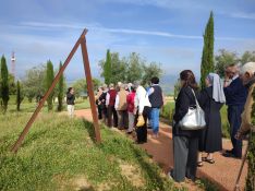 La actividad también ha contado con un pequeño paseo por el olivar.  // CharryTV