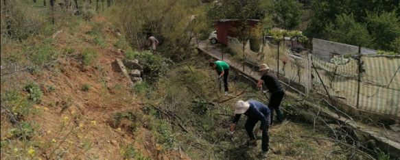 Una veintena de voluntarios realizaron los trabajos en la jornada del sábado.  // Asociación por los Caminos Públicos de la Serranía de Ronda