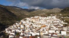 Las lechuzas comunes eran habituales en el municipio por lo que consideran que el ecosistema es el más indicado para el desarrollo del proyecto de repoblación. // Serranía Comunicación