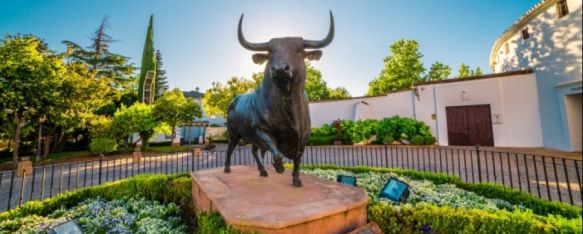 Tauromundo solicita la adhesión de Ronda a la REMPTA, La asociación taurina va a celebrar una reunión el próximo miércoles para tratar este asunto y enviar una petición formal al Ayuntamiento, 06 Jun 2024 - 09:03