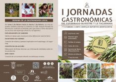 Cartel de las jornadas.  // CharryTV
