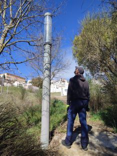 La única farola que queda en este espacio está escondida entre la maleza.  // CharryTV