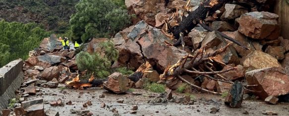 Fomento realiza un primer análisis tras el desprendimiento de la ladera en la A-397, La carretera que conecta Ronda con San Pedro Alcántara permanece cortada al tráfico por los graves daños ocasionados por la borrasca JANA , 10 Mar 2025 - 10:44