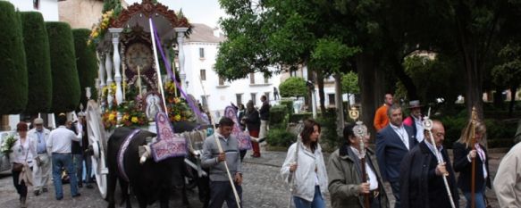 La Hermandad del Rocío de Ronda continúa su camino hacia la aldea almonteña, Cerca de 150 rondeños se dirigen hacia las marismas de Huelva, 22 May 2012 - 11:17