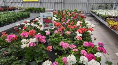 El sector de la jardinería se encuentra en plena temporada alta. // CharryTV