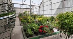 La zona de huerta es la estrella de la corona, con una alta demanda en la zona. // CharryTV