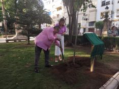 El árbol y la placa se encuentran junto al quisco que ahora gestiona su marido.  // CharryTV