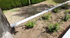 En el programa de instalación y mantenimiento de jardines y zonas verdes han mejorado los mecanismos de riego y han añadido nuevos sistemas.  // CharryTV