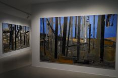 El paisaje evoca a los restos del incendio de Sierra Bermeja // José Antonio Gallardo