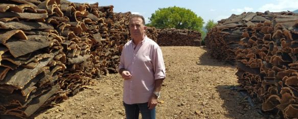 La campaña del corcho de los Montes de Propio alcanzan el ecuador , Este año se espera obtener unos 370.000 kilos de este material…, 11 Jul 2025 - 15:50