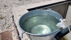 El agua, completamente limpieza, tras completar el circuito de depuración.  // CharryTV