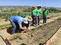 Uno de los equipos, trabajando en el huerto // Laura Caballero