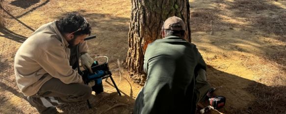 El Ayuntamiento actúa contra las orugas procesionarias en parques y jardines de la ciudad, Se estima que se traten de 250 a 300 árboles mediante una técnica…, 09 Oct 2025 - 16:35