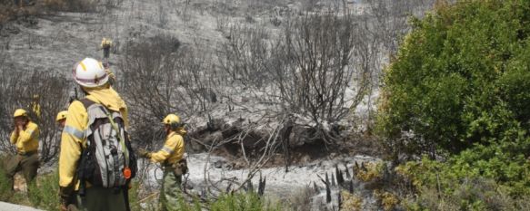 Un incendio entre Cortes de la Frontera y Jimera de Líbar calcina 75 hectáreas , Cuatro trabajadores del Infoca, hospitalizados por inhalación de humo en las tareas de extinción, 21 Aug 2012 - 17:08